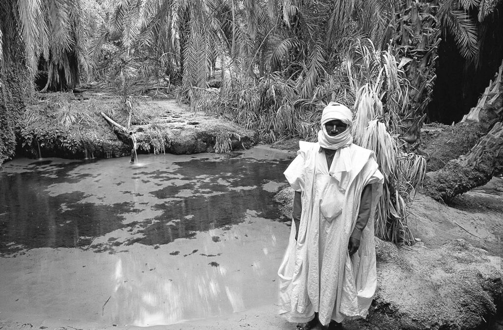 Viaje a Tombuctú - Javier Ibarra Zorrilla
