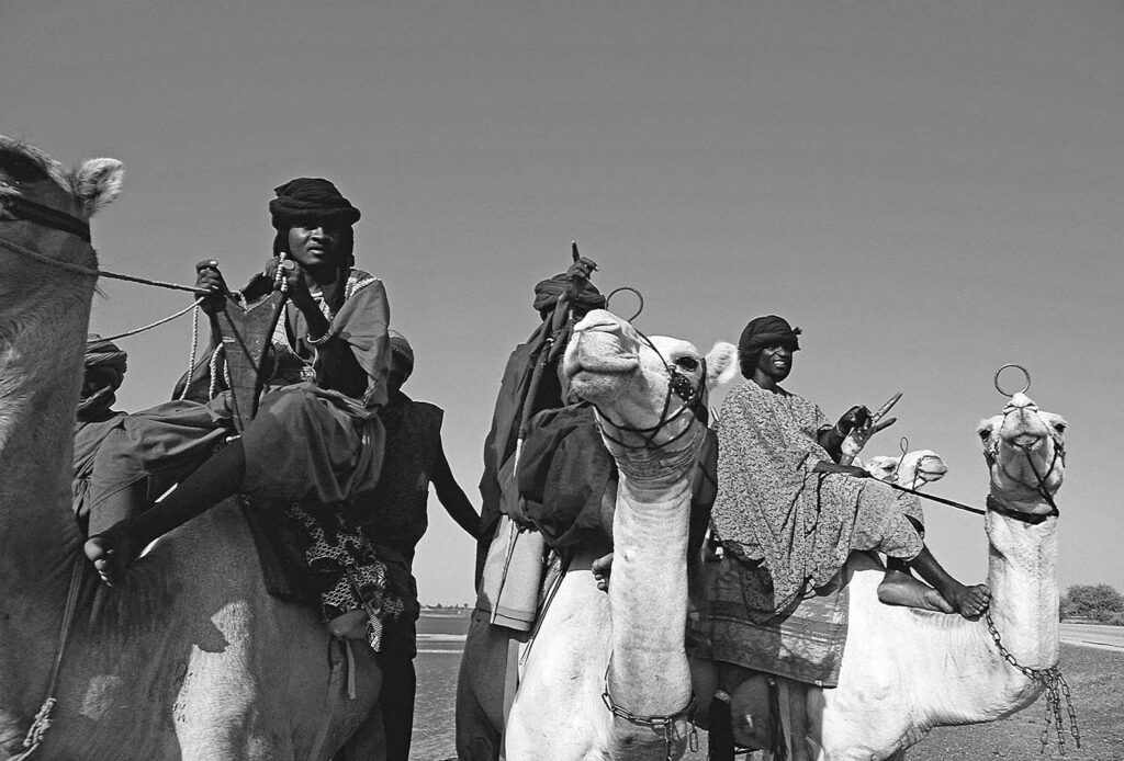 Viaje a Tombuctú - Javier Ibarra Zorrilla