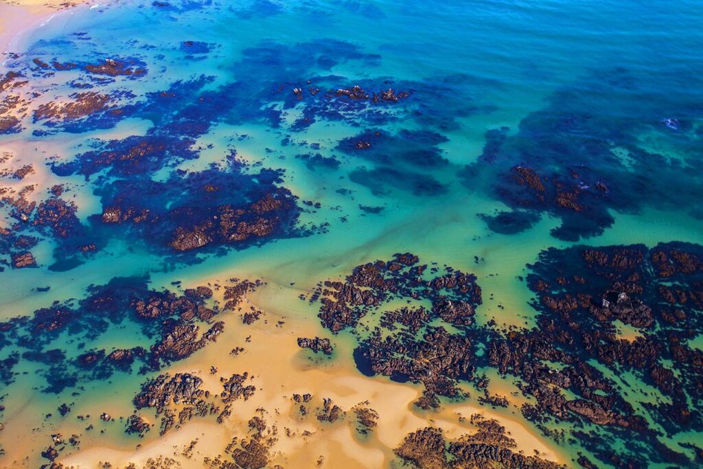 Arte en la Naturaleza - Javier Ibarra Zorrilla