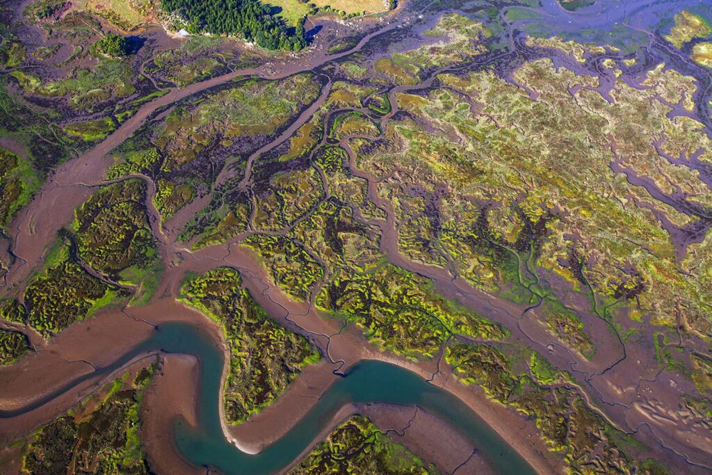 Arte en la Naturaleza - Javier Ibarra Zorrilla