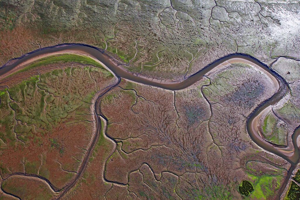 Arte en la Naturaleza - Javier Ibarra Zorrilla