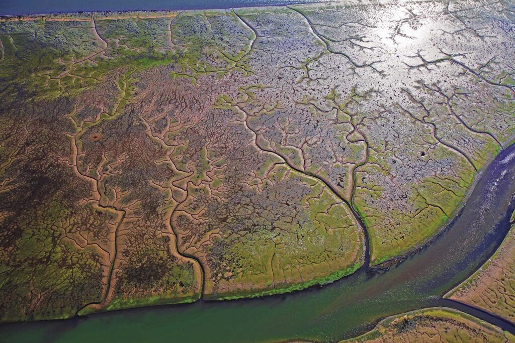 Arte en la Naturaleza - Javier Ibarra Zorrilla
