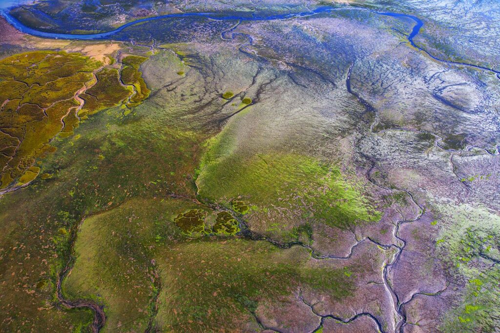 Arte en la Naturaleza - Javier Ibarra Zorrilla