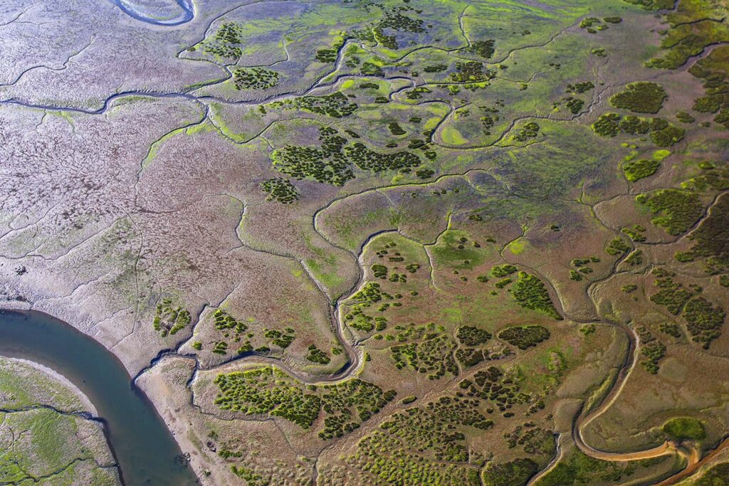 Arte en la Naturaleza - Javier Ibarra Zorrilla