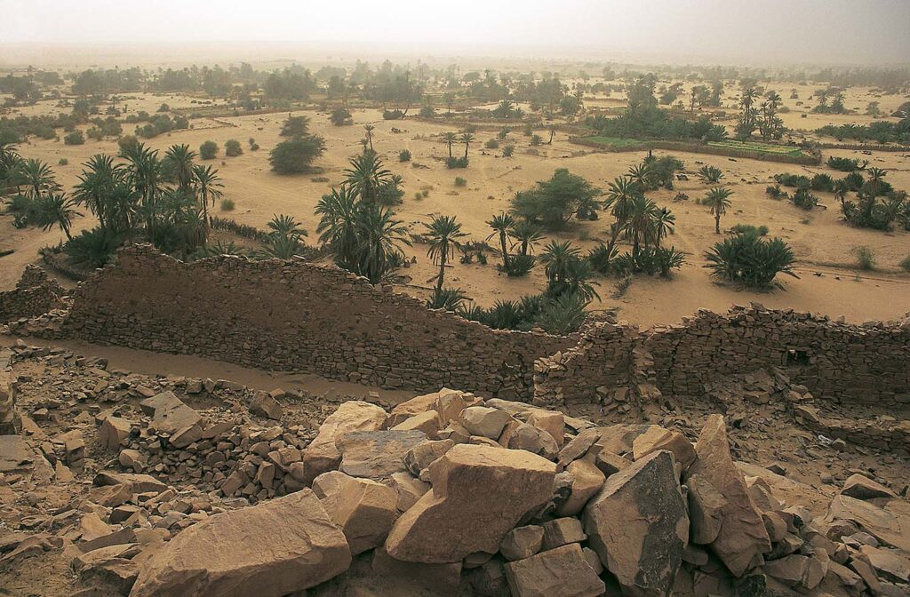 Planeta Humano - Javier Ibarra Zorrilla